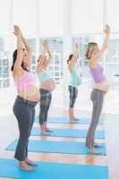 Smiling pregnant women in yoga class standing in tree pose
