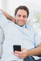 Smiling man sitting on the sofa texting on his phone