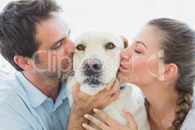 Happy couple kissing their yellow labrador on the couch