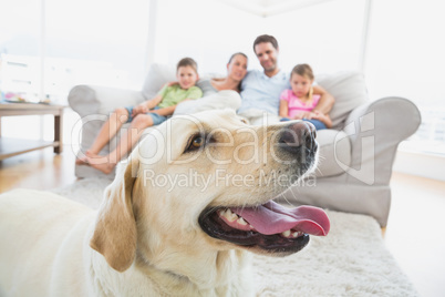 Happy family sitting on couch with their pet yellow labrador in