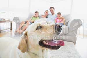 Happy family sitting on couch with their pet yellow labrador in