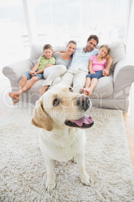 Happy family sitting on couch with their pet yellow labrador on