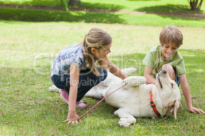 Full length of kids playing with pet dog at park