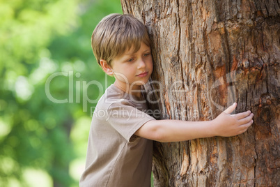 Boy hugging a tree at park
