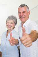 Cheerful retired couple looking at camera giving thumbs up
