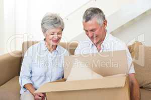 Smiling senior couple moving into new home