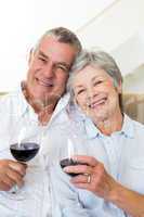 Senior couple sitting on couch having of red wine