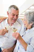 Senior couple sitting on couch having white wine