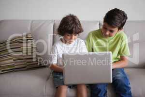 Young boys using laptop in the living room