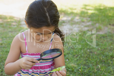 Girl examining a leaf with magnifying glass at park