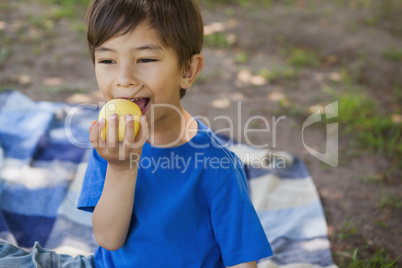 Cute young boy eating a fruit in park