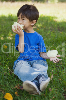 Relaxed little boy eating cotton candy at park