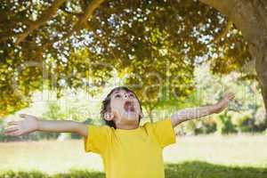 Boy with arms outstretched looking up in park