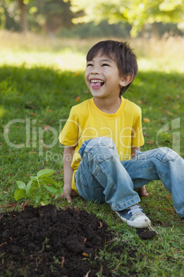 Cheerful boy besides young plant in park