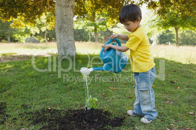 Young boy watering a young plant in park