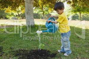 Young boy watering a young plant in park