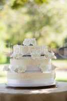 Wedding cake on table at park