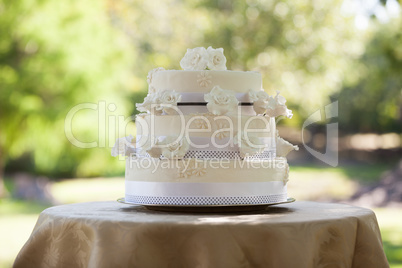 Wedding cake on table at park