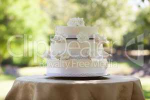 Wedding cake on table at park