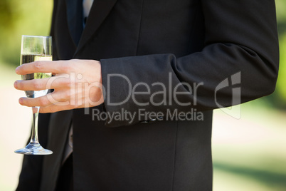 Mid section of a man holding champagne glass at park