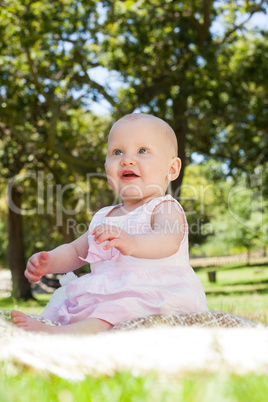 Cute baby sitting on blanket at park