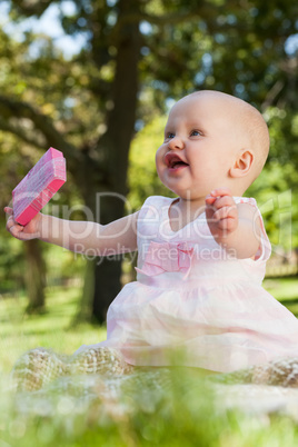 Cute happy baby holding with a box at park