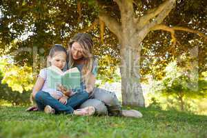 Mother and daughter reading a book at park