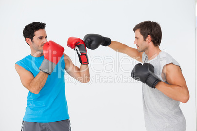 Side view of two male boxers practicing