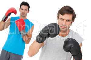 Portrait of two male boxers practicing