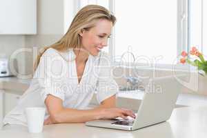 Happy woman using laptop at counter