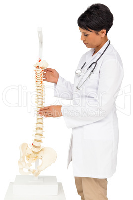 Side view of a female doctor holding skeleton model