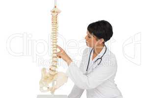 Female doctor looking at skeleton model