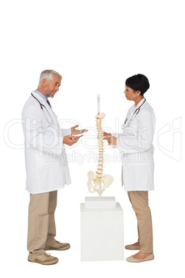 Two doctors discussing besides skeleton model