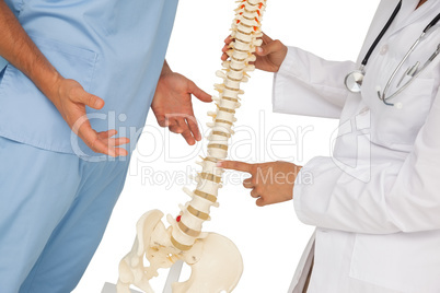 Mid section of two doctors discussing besides skeleton model