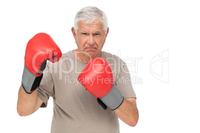 Portrait of a determined senior boxer