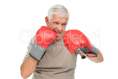 Close-up portrait of a determined senior boxer