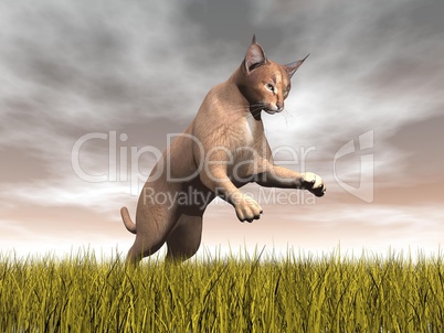 caracal hunting - 3d render