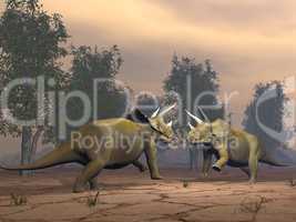 triceratops dinosaurs fighting - 3d render