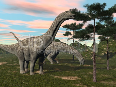 argentinosaurus dinosaur eating tree - 3d render