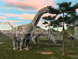 argentinosaurus dinosaur eating tree - 3d render