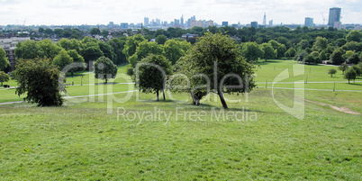 Primrose Hill London