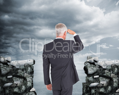 Composite image of rear view of mature businessman looking away