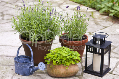 stilleben im garten noch immer leben in vermeiden garten