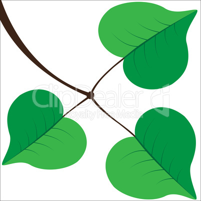 branch with leaves