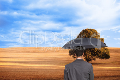 Composite image of rear view of classy businessman holding grey Composite image of rear view of classy businessman holding grey