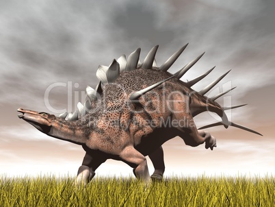 kentrosaurus dinosaur - 3d render