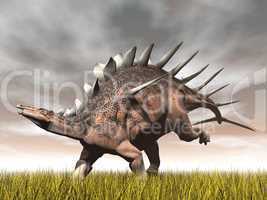 kentrosaurus dinosaur - 3d render
