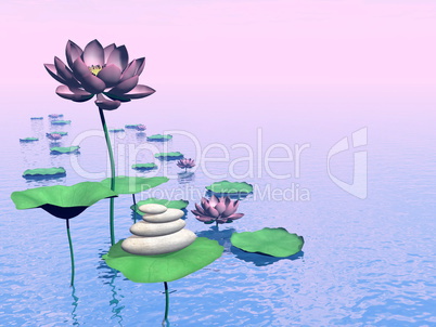 zen lily flowers - 3d render