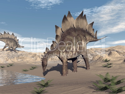 stegosaurus near water - 3d render