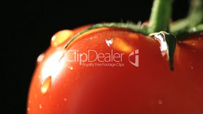 Tomato rotating